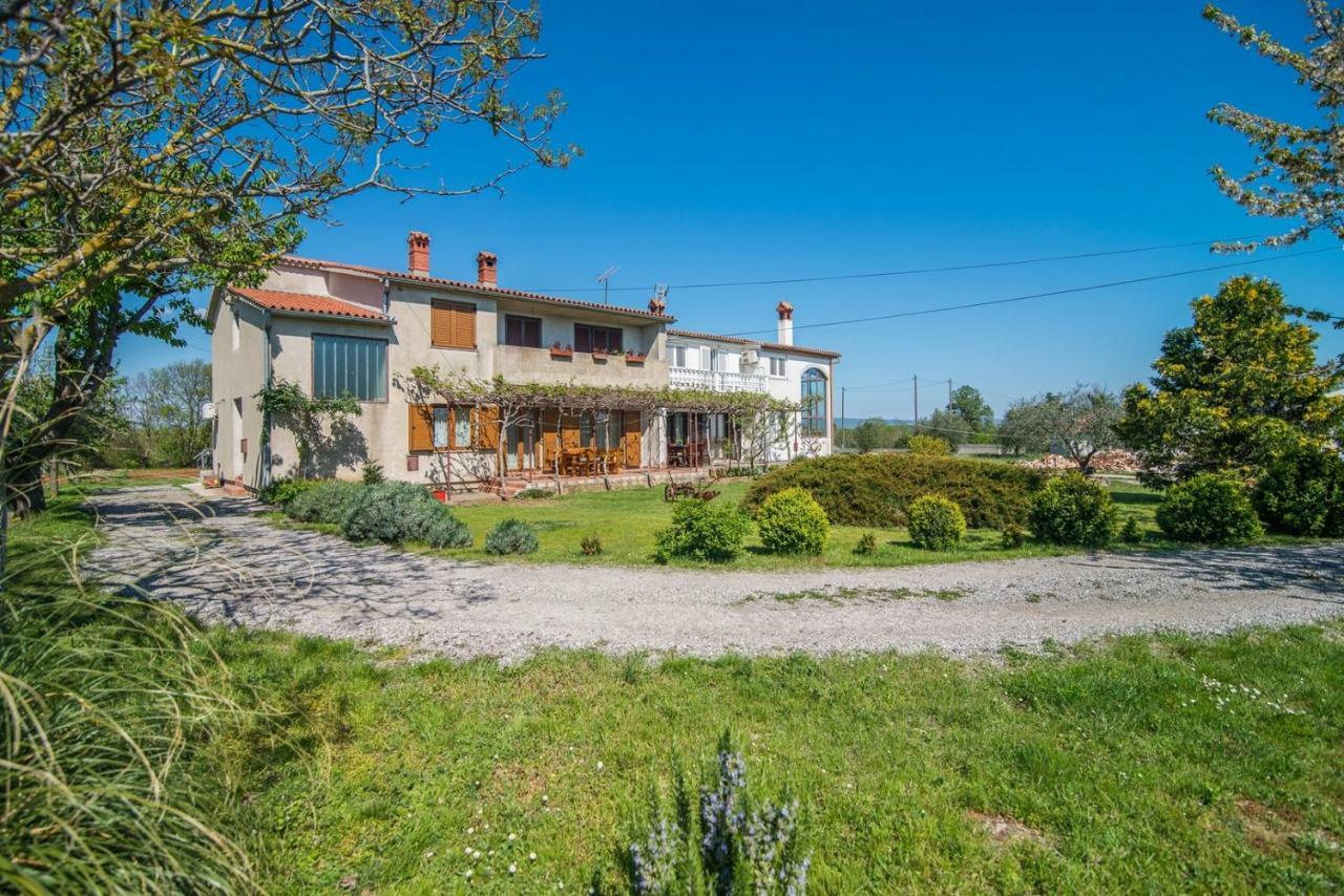 Apartment With Terrace In Filipana Marčana エクステリア 写真